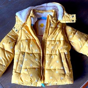 2 in 1 insulated jacket